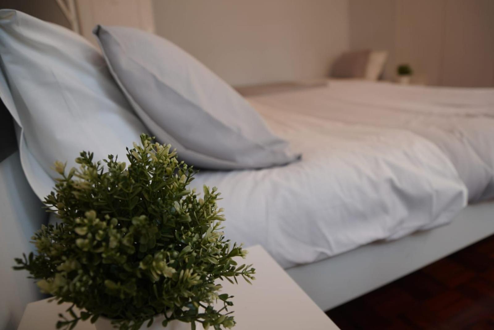Bisengototo Homestay Lisboa Екстериор снимка